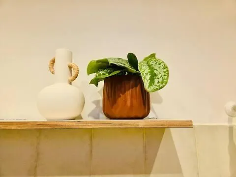 Your Boutique Mediterranean Stay In Barcelona 0*,  Spain